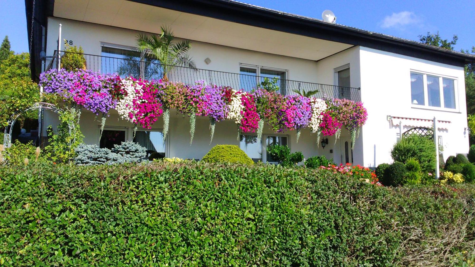 Haus Alexandra Appartement Schoneberg  Buitenkant foto
